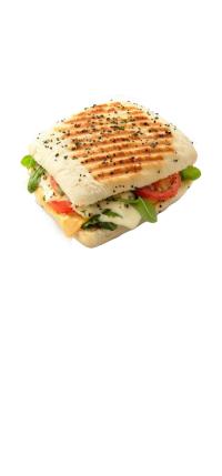 Panini